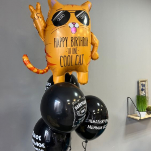 Набор шаров "Крутой кот" - Шары и праздники