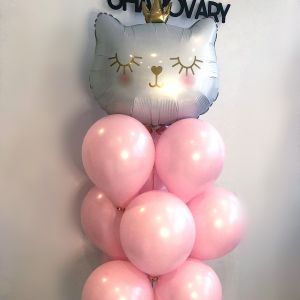 Набор шаров №25 "Принцесса кошечка" - Шары и праздники